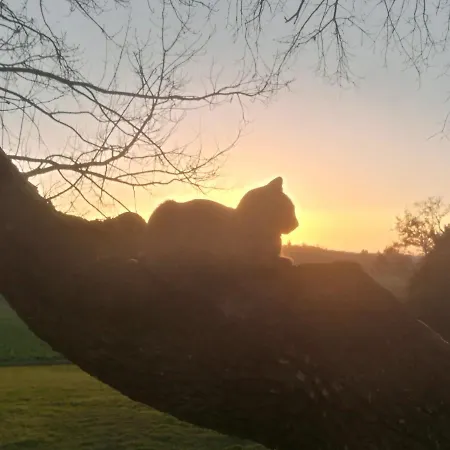 Maison Saint-pe Béraut