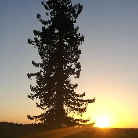 Maison Saint-pe Béraut