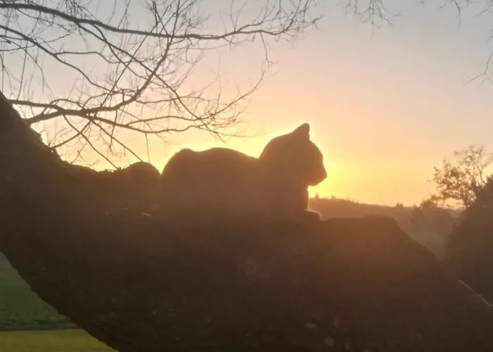 Maison Saint-pe Béraut