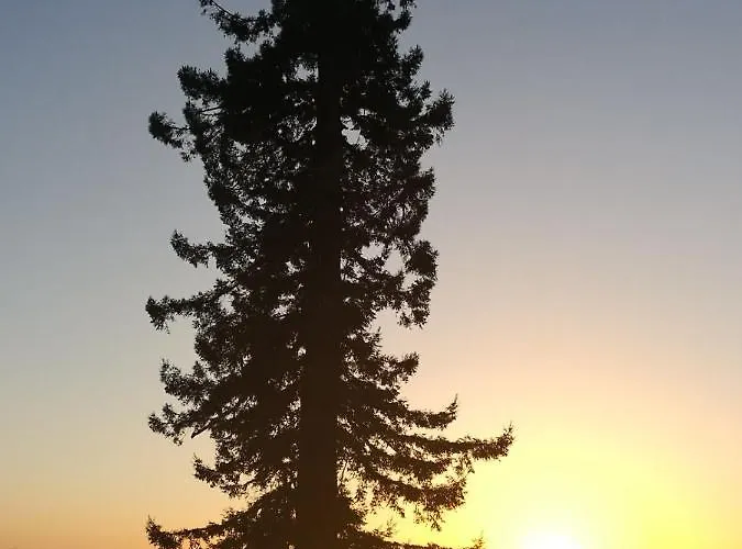 Maison Saint-pe Béraut